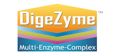 digezyme